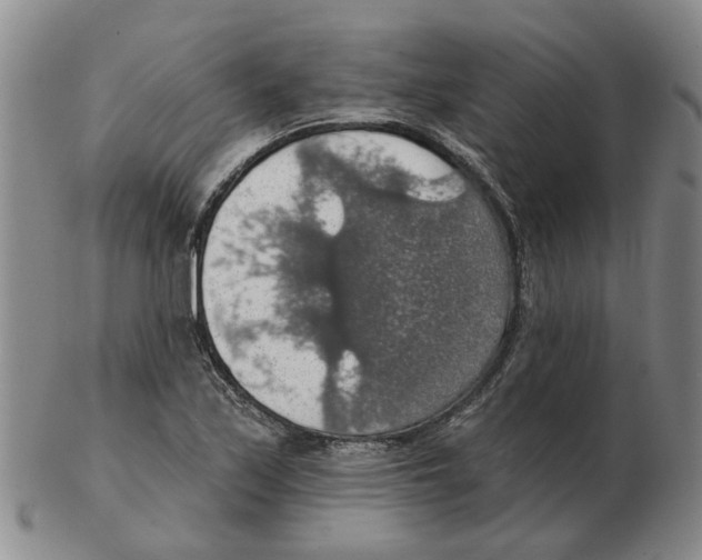 X0000102771171200809151032