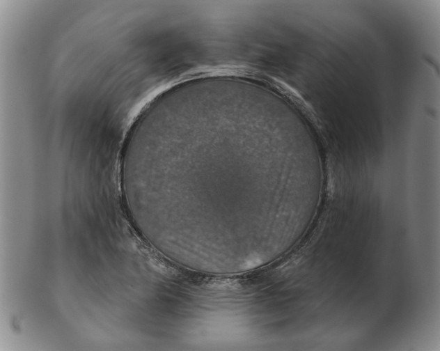 X0000102771174200809151032