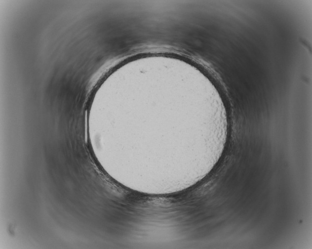 X0000102771175200809151032