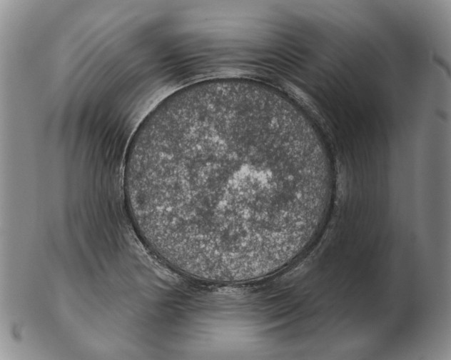 X0000102771178200809151032