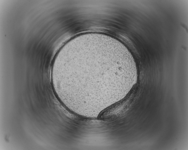 X0000102771180200809151032