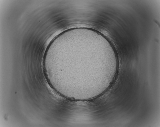 X0000102771181200809151032