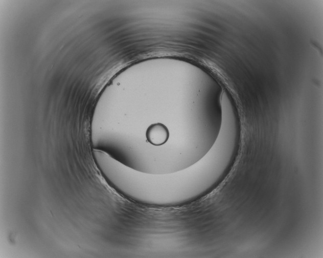 X0000102771185200809151032