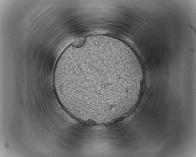 X0000102771186200809151032