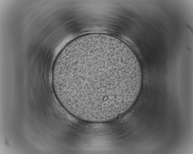 X0000102771188200809151032