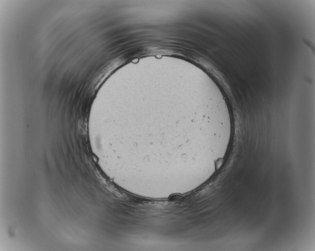 X0000102771193200809151032