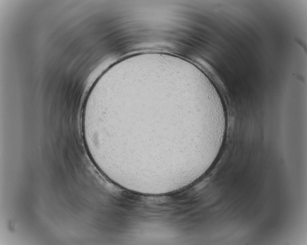 X0000102771196200809151032