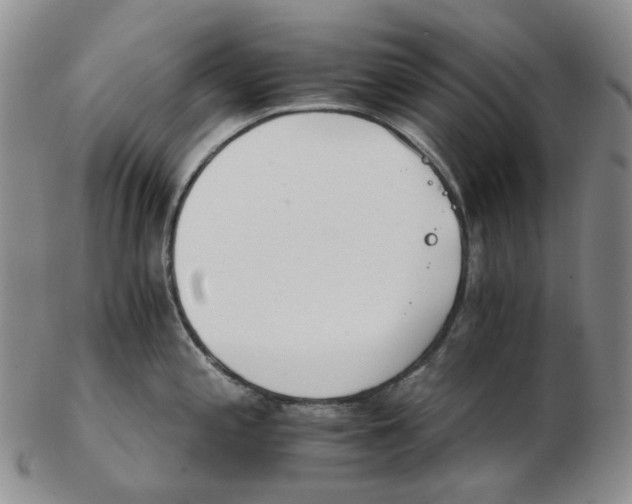 X0000102771197200809151031