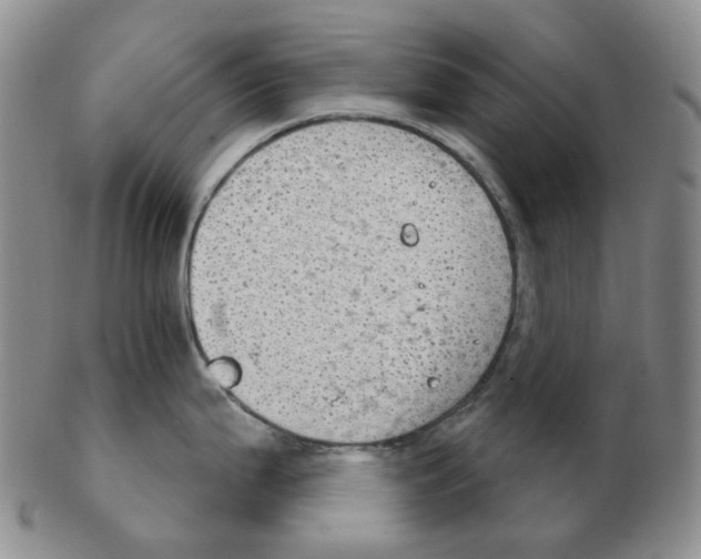 X0000102771199200809151031