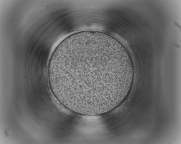 X0000102771200200809151031