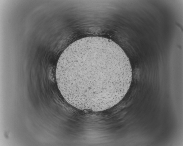 X0000102771202200809151031