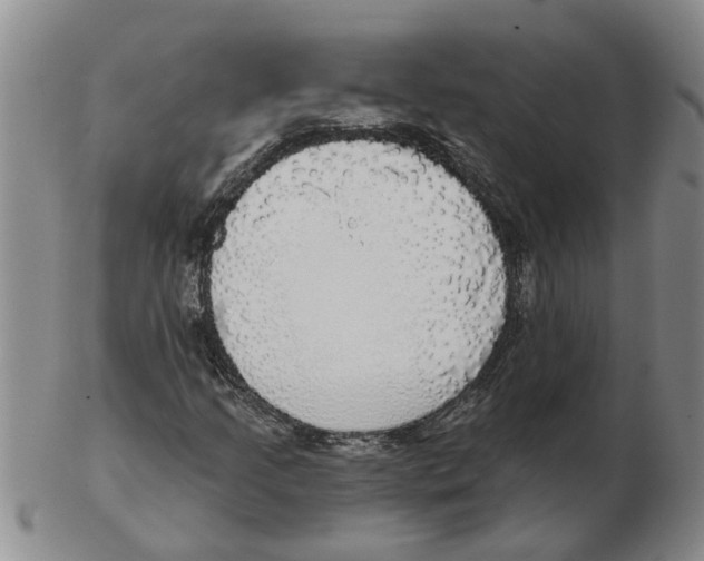 X0000102771205200809151031