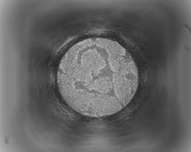 X0000102771206200809151031