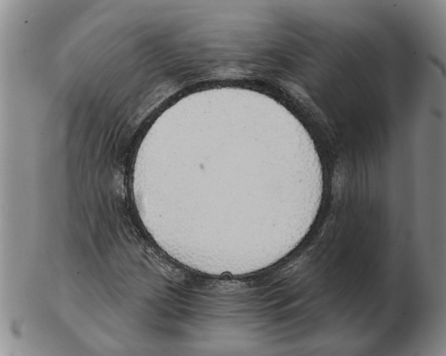 X0000102771209200809151031