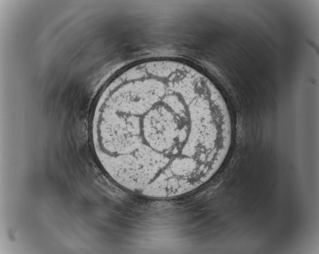 X0000102771212200809151031