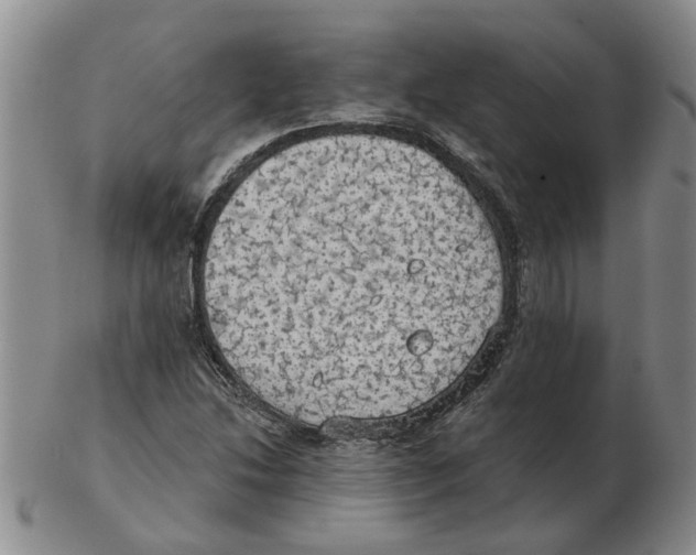 X0000102771214200809151031