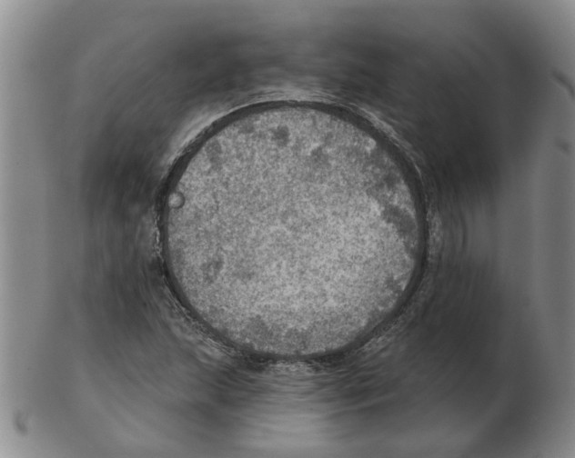 X0000102771215200809151031