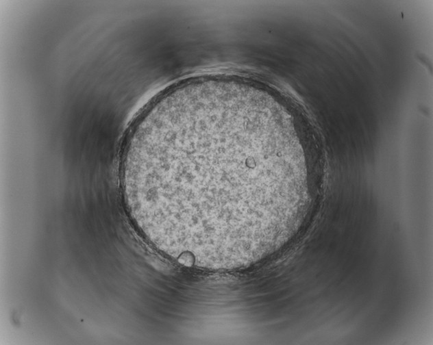 X0000102771216200809151031