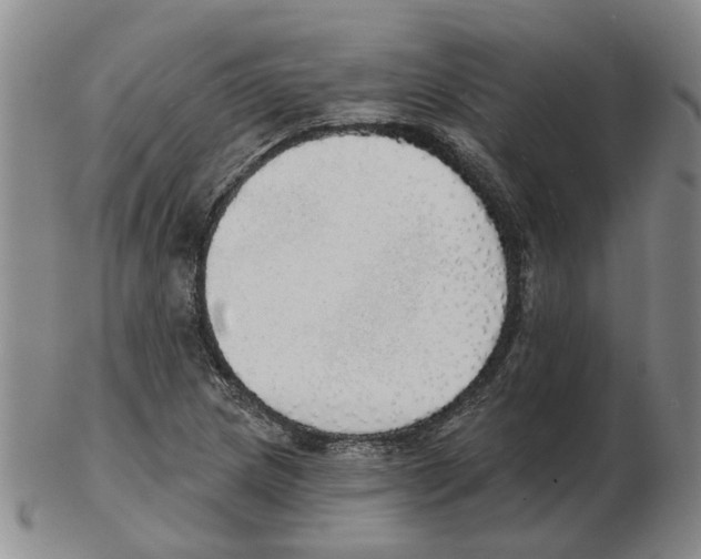 X0000102771217200809151031