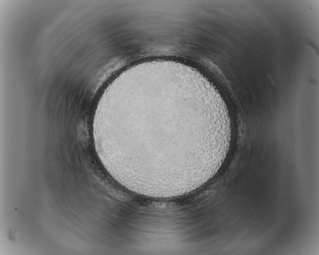 X0000102771218200809151031