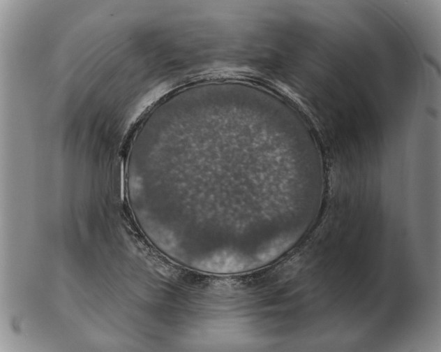 X0000102771219200809151031