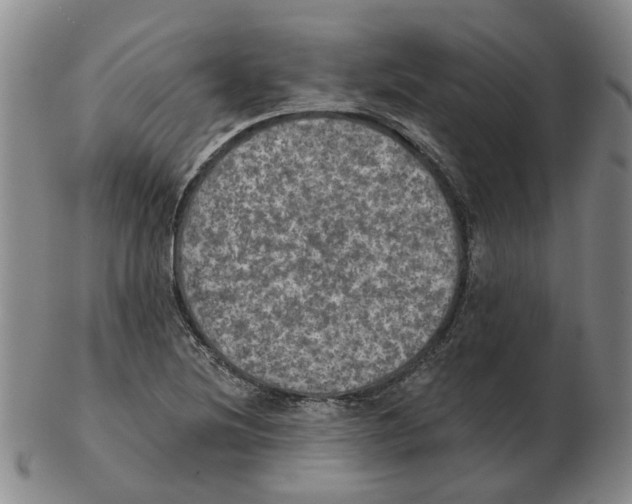 X0000102771220200809151031