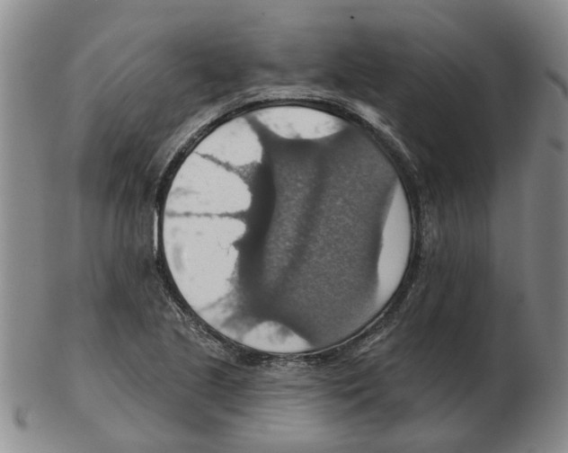 X0000102771221200809151031