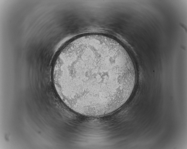 X0000102771222200809151031