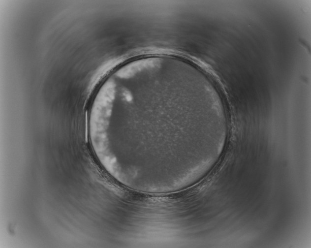 X0000102771223200809151031