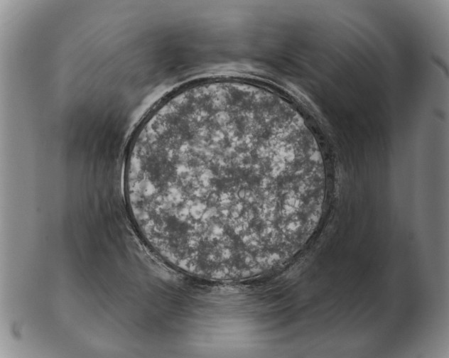 X0000102771224200809151031