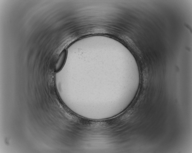 X0000102771225200809151031