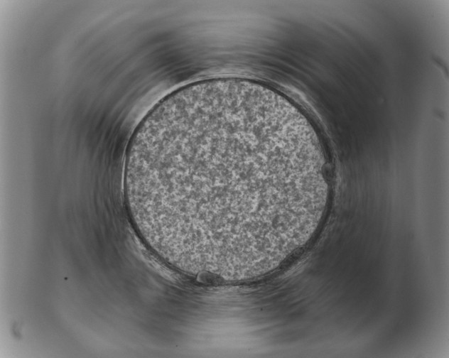 X0000102771228200809151031