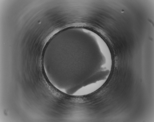 X0000102771229200809151031