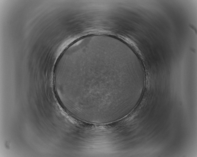 X0000102771231200809151031