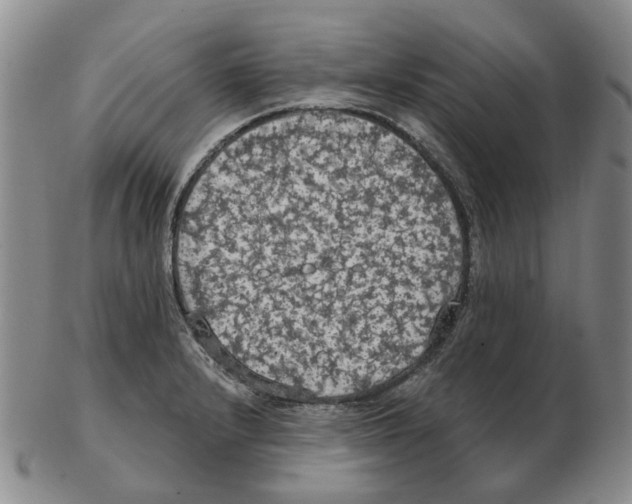 X0000102771232200809151031