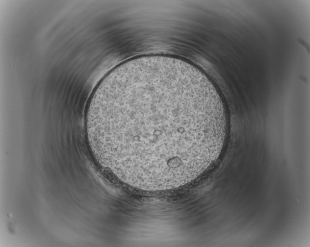 X0000102771234200809151031