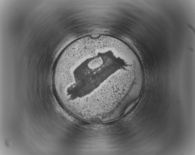 X0000102771235200809151031