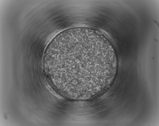 X0000102771236200809151031