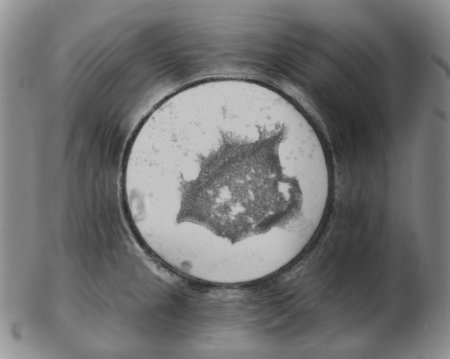 X0000102771237200809151031