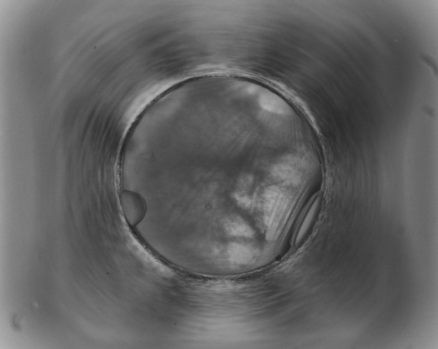 X0000102771239200809151031