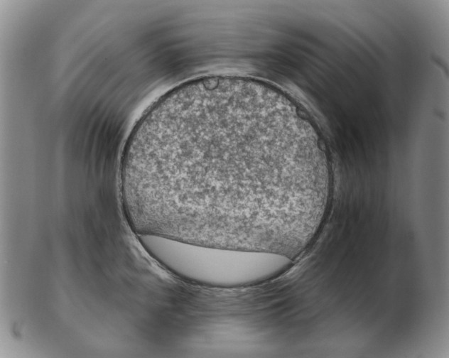 X0000102771240200809151031