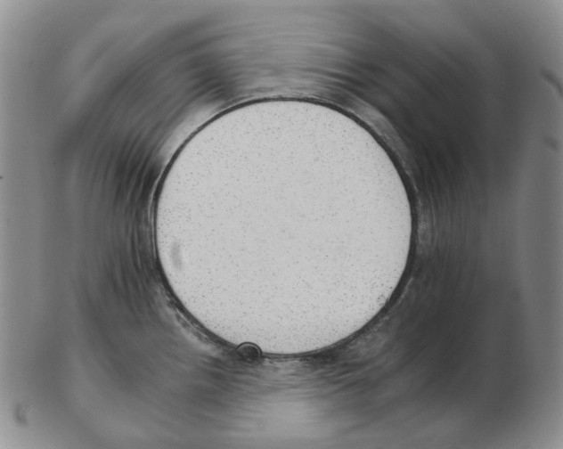 X0000102771242200809151031