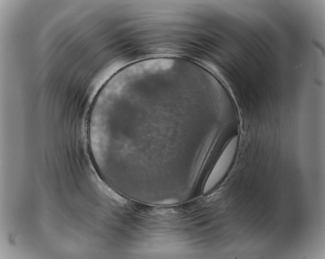 X0000102771243200809151031