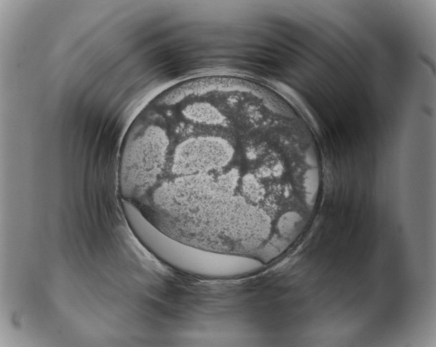 X0000102771244200809151031