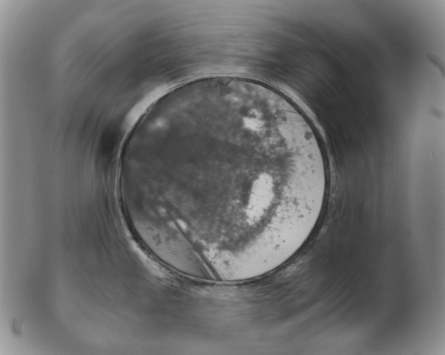 X0000102771245200809151031