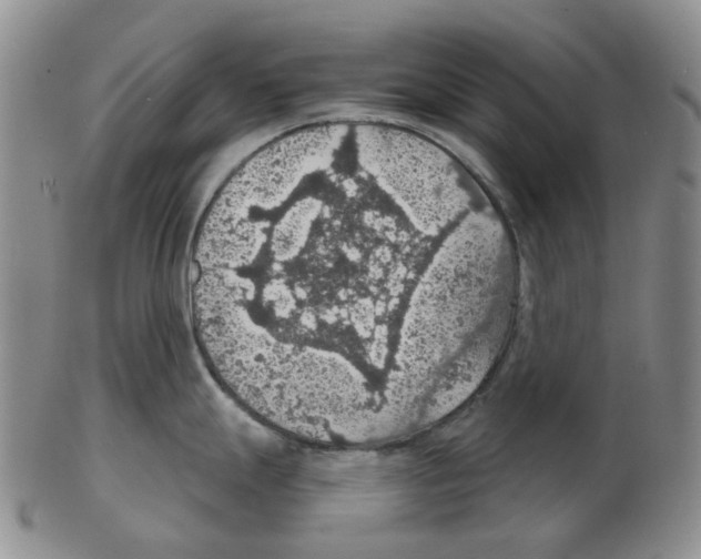 X0000102771247200809151031