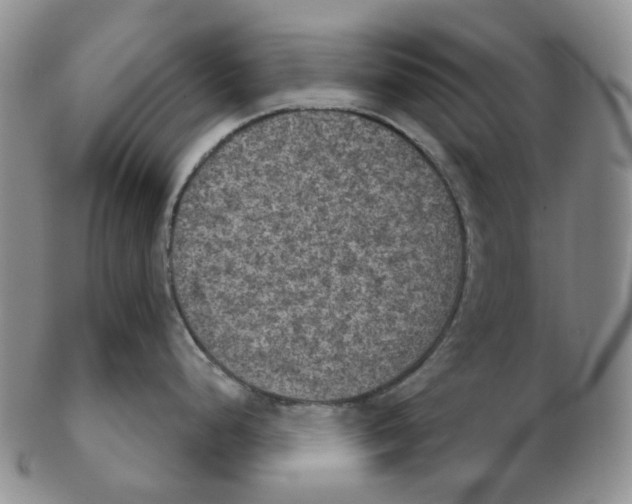 X0000102771248200809151031