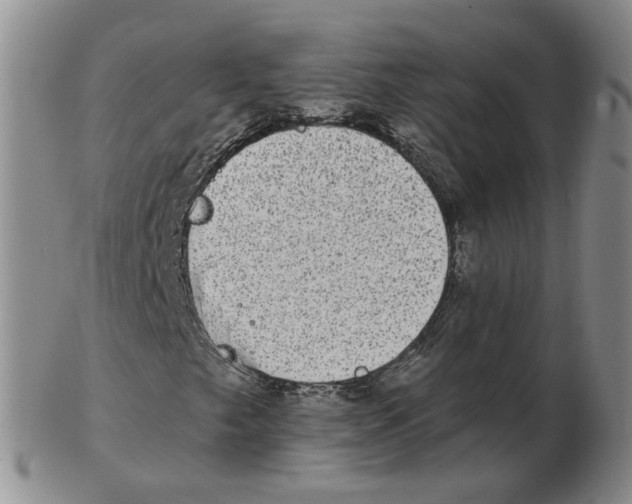 X0000102771249200809151031