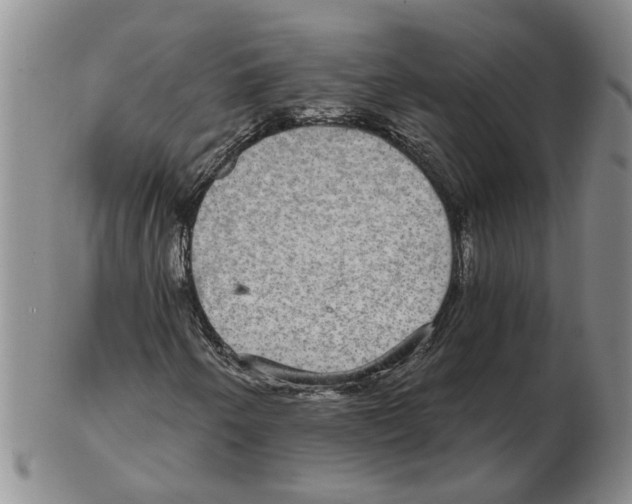 X0000102771250200809151031