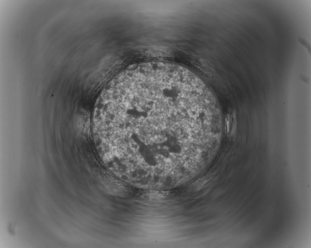 X0000102771251200809151031